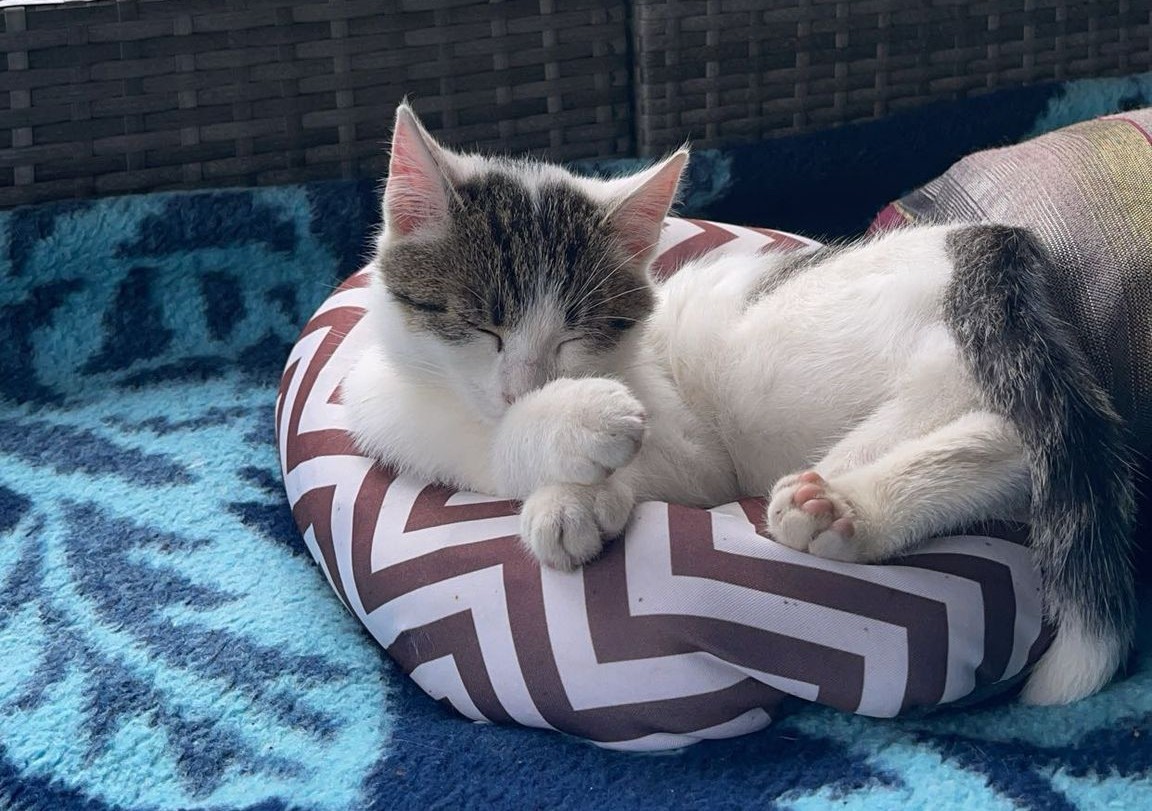 Imagine suplimentară